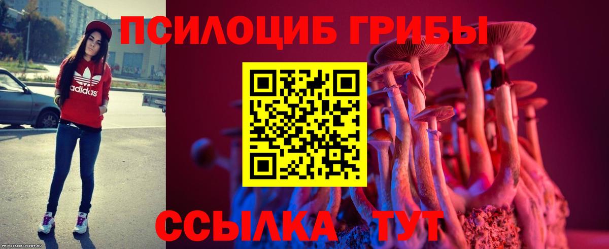Псилоцибиновые грибы Magic Shrooms  Псилоцибиновые грибы Psilocybe  Белореченск  Вход с VPN 